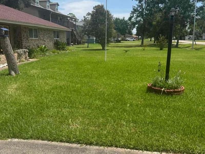 Lawn Care service in La Porte, 77571