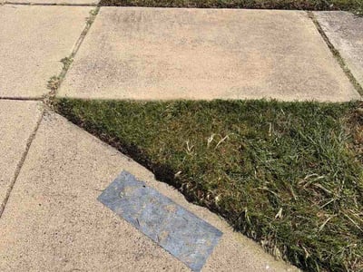 Lawn Care service in Forest Hill, 76140