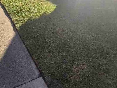 Lawn Care service in West Covina, 91790