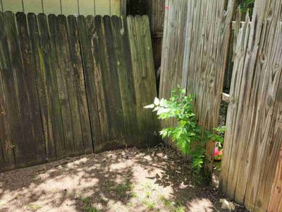 Lawn Care service in Southlake, 76092