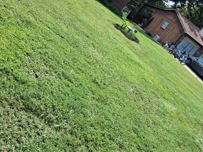 Lawn Care service in Clinton, 37716