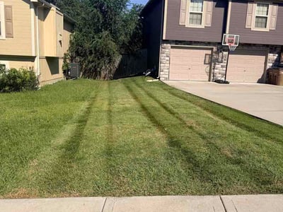 Lawn Care service in Raymore, 64083