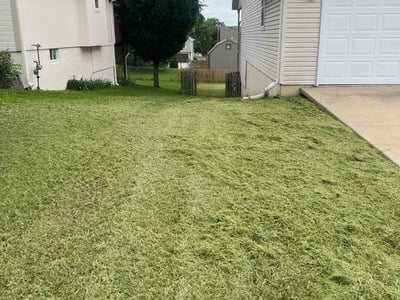 Lawn Care service in Raymore, 64083