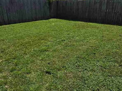 Lawn Care service in Texarkana, 71854
