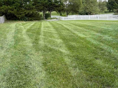 Lawn Care service in Columbia, 65201