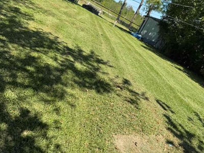 Lawn Care service in Dickinson, 77539