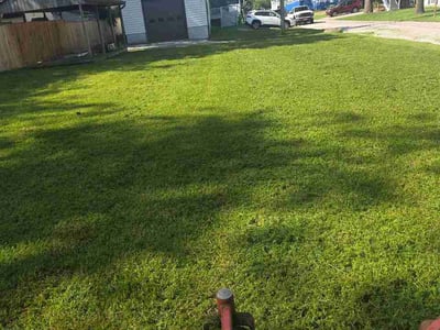 Lawn Care service in Lutherville Timonium, 21093