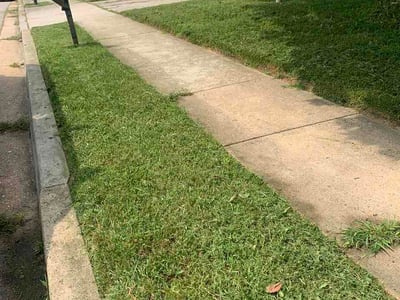 Lawn Care service in Lutherville Timonium, 21093