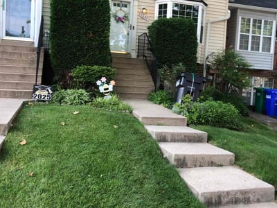 Lawn Care service in Laurel, 20707