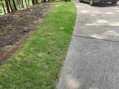 Lawn Care service in Flowery Branch, 30542