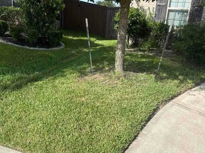 Lawn Care service in Seabrook, 77586