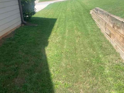 Lawn Care service in Flowery Branch, 30542