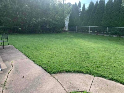Lawn Care service in Ottawa, 61350