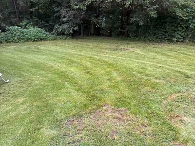 Lawn Care service in Ottawa, 61350