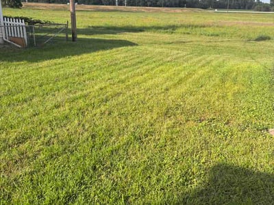 Lawn Care service in ,