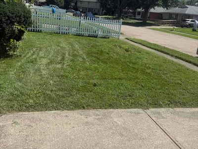 Lawn Care service in Cumberland, 46229