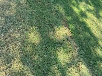 Lawn Care service in Suwanee, 30024