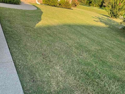 Lawn Care service in Spring Hill, 37174