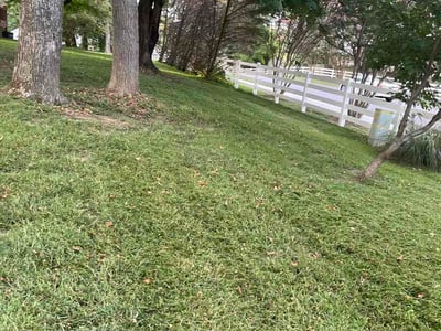 Lawn Care service in Spring Hill, 37174
