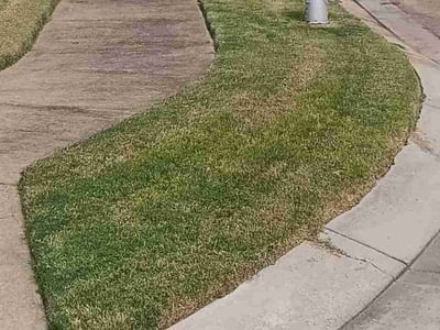 Lawn Care service in Southaven, 38671