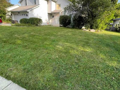 Lawn Care service in Algonquin, 60156
