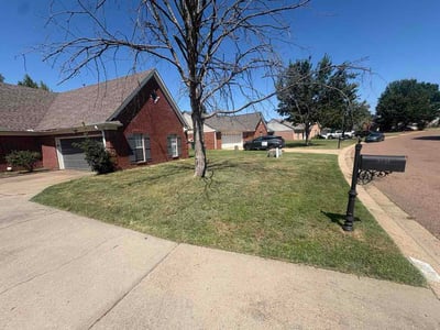 Lawn Care service in Southaven, 38671
