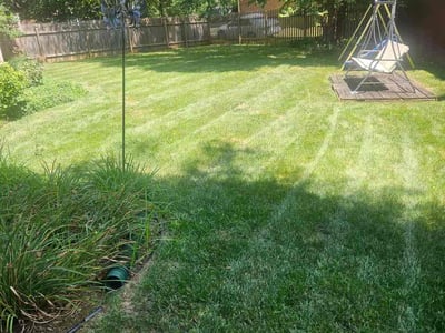 Lawn Care service in Middletown, 40243