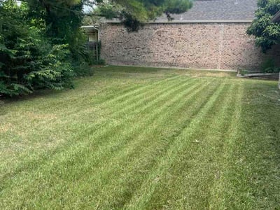 Lawn Care service in Walker, 70785
