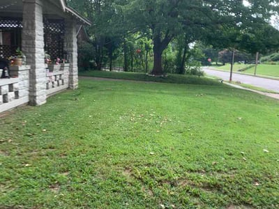 Lawn Care service in Covington, 38019