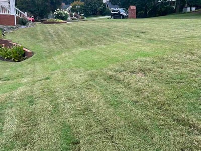 Lawn Care service in Lawrenceville, 30046