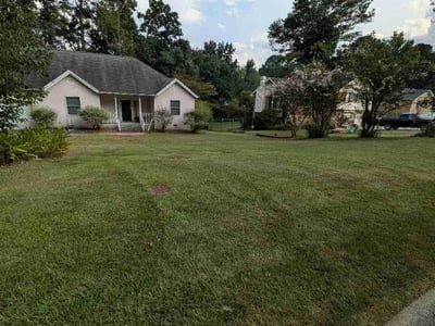 Lawn Care service in Lawrenceville, 30046