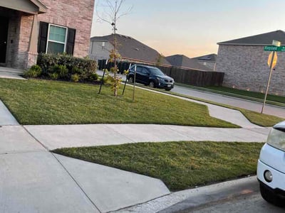Lawn Care service in Crowley, 76036