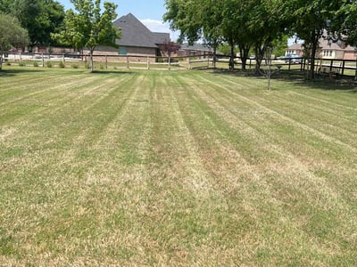 Lawn Care service in Crowley, 76036