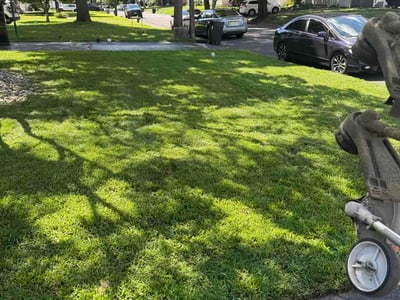 Lawn Care service in Trenton, 08608