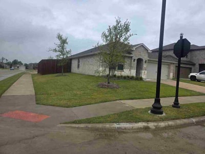 Lawn Care service in Rowlett, 75088