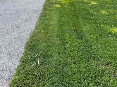 Lawn Care service in Oswego, 60543