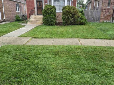 Lawn Care service in Schaumburg, 60194