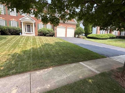 Lawn Care service in Owings Mills, 21117