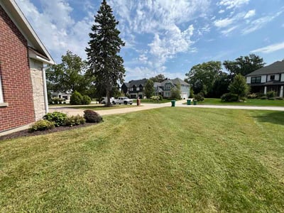 Lawn Care service in Fox Lake, 60020