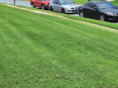 Lawn Care service in Owings Mills, 21117