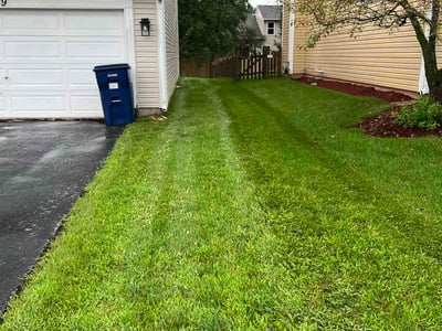 Lawn Care service in Fox Lake, 60020