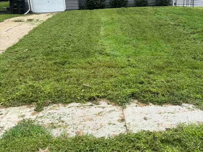 Lawn Care service in Bountiful, 84010