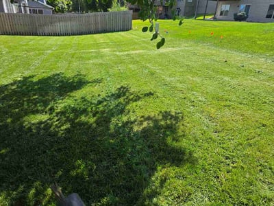 Lawn Care service in Bountiful, 84010