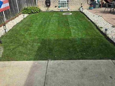 Lawn Care service in Romeoville, 60446