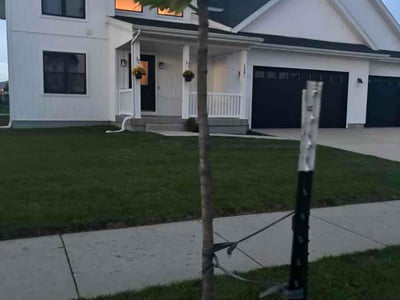 Lawn Care service in Sun Prairie, 53590