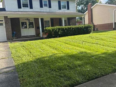 Lawn Care service in Frankfort, 60423