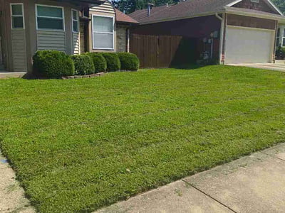 Lawn Care service in Highland, 62249