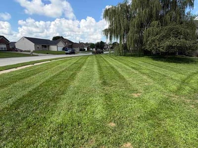 Lawn Care service in Clarksville, 47129