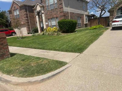 Lawn Care service in Cleburne, 76033