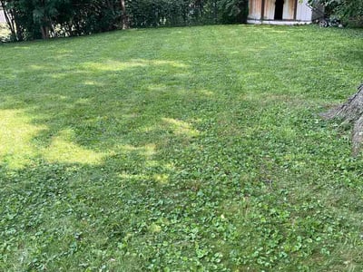 Lawn Care service in Gurnee, 60031